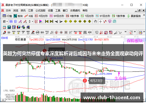 英超为何突然停摆专家深度解析背后成因与未来走势全面观察动向评