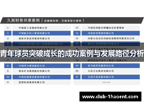 青年球员突破成长的成功案例与发展路径分析